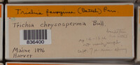 Image Associated With the Occurence